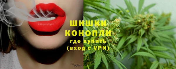 шишки Алзамай