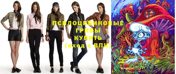 шишки Алзамай