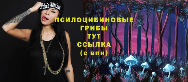 стаф Алексеевка