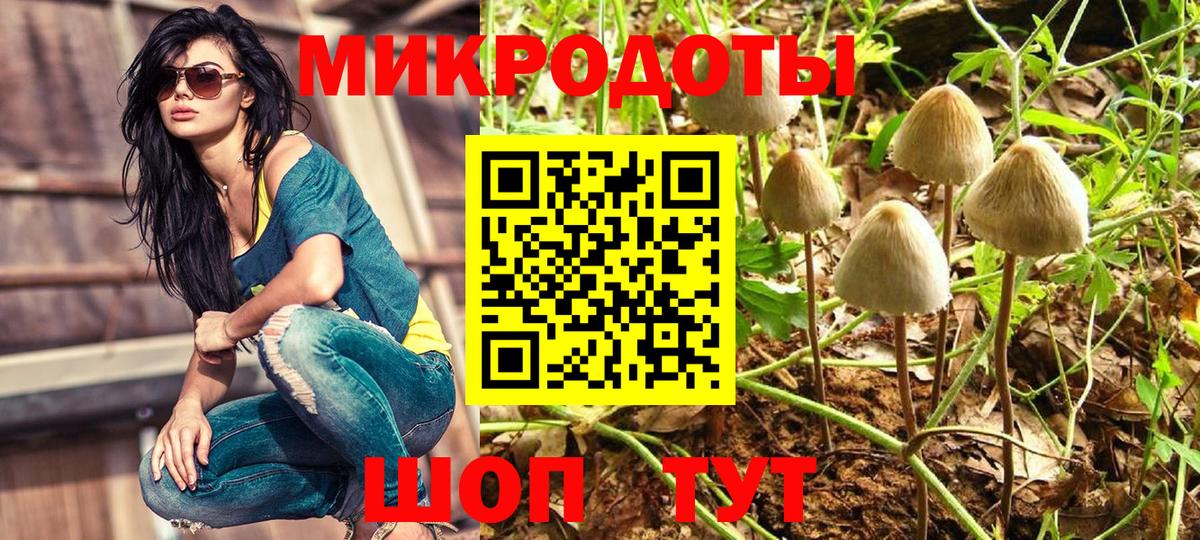 Южноуральск  Псилоцибиновые грибы мухоморы  Вход с VPN 